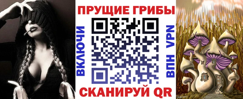 Псилоцибиновые грибы Psilocybine cubensis  Купить  Чаплыгин 